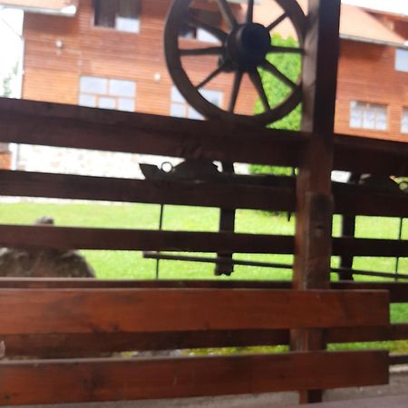 Pensiunea Codru Sălciua de Jos Εξωτερικό φωτογραφία