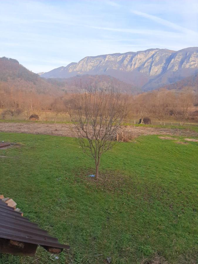 Pensiunea Codru Sălciua de Jos Εξωτερικό φωτογραφία