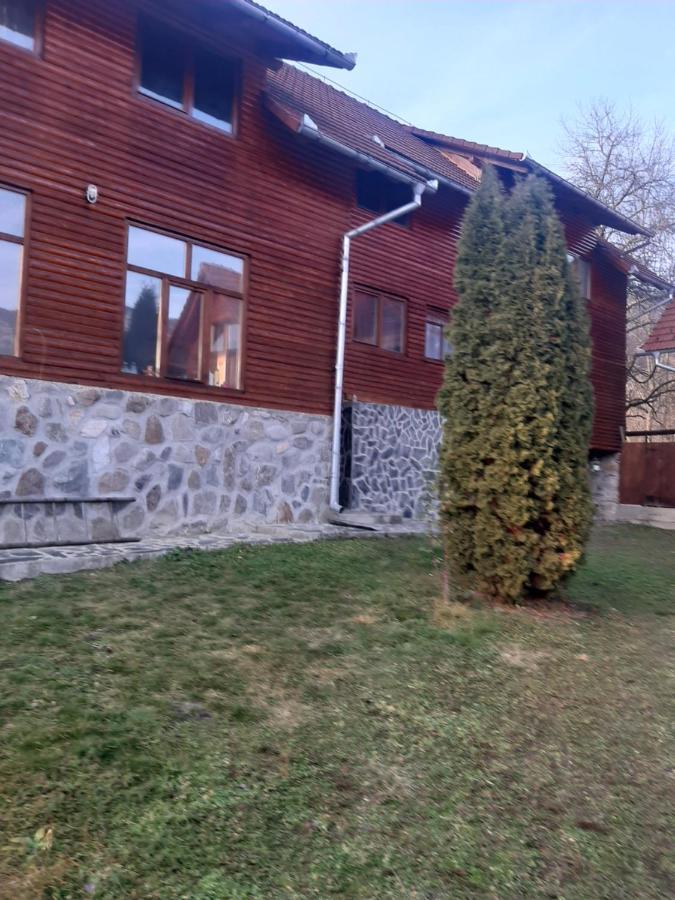 Pensiunea Codru Sălciua de Jos Εξωτερικό φωτογραφία