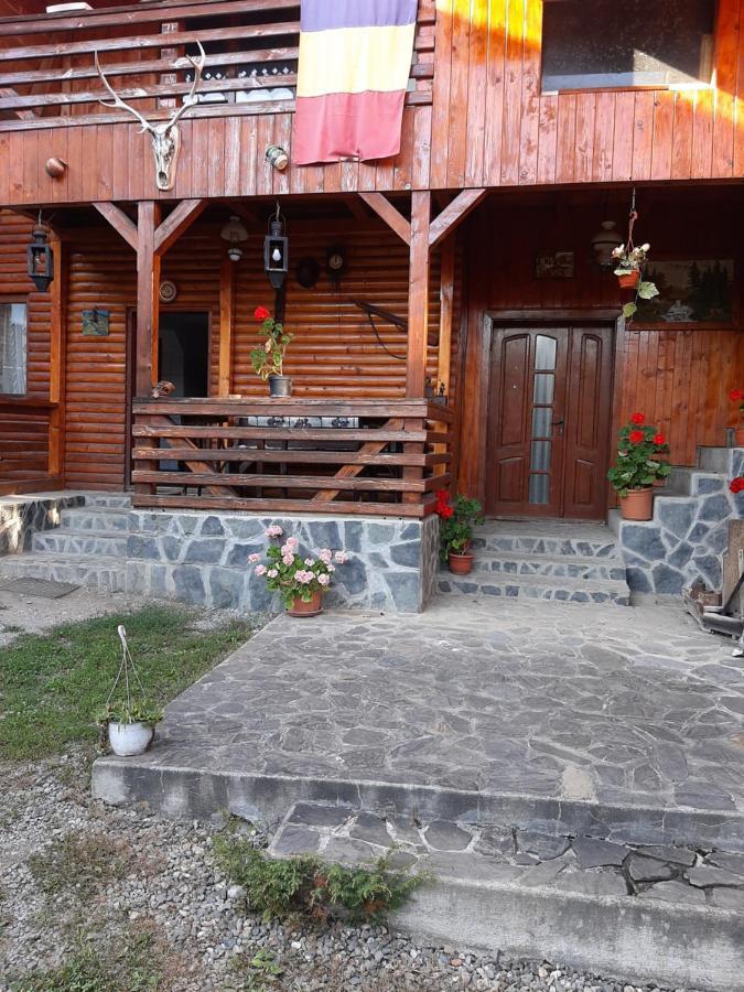 Pensiunea Codru Sălciua de Jos Εξωτερικό φωτογραφία