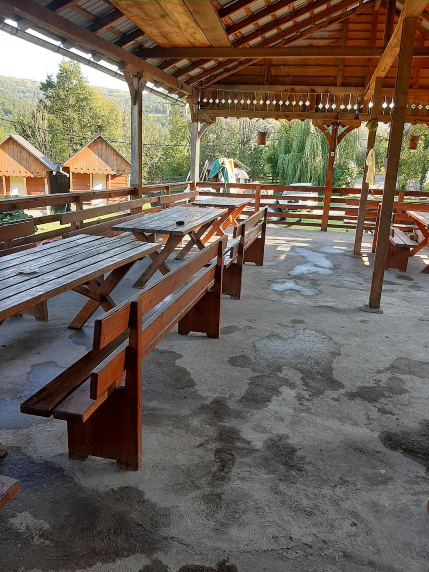 Pensiunea Codru Sălciua de Jos Εξωτερικό φωτογραφία